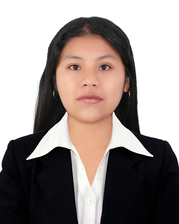 Foto de LISBETH TINTAYA MARCAVILLACA